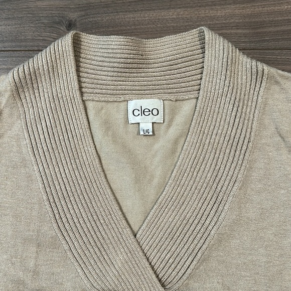 Cleo V-Neck Sweater - Size: Large - Picture 2 of 5